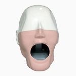 White Urethane Head with Buccal Plates